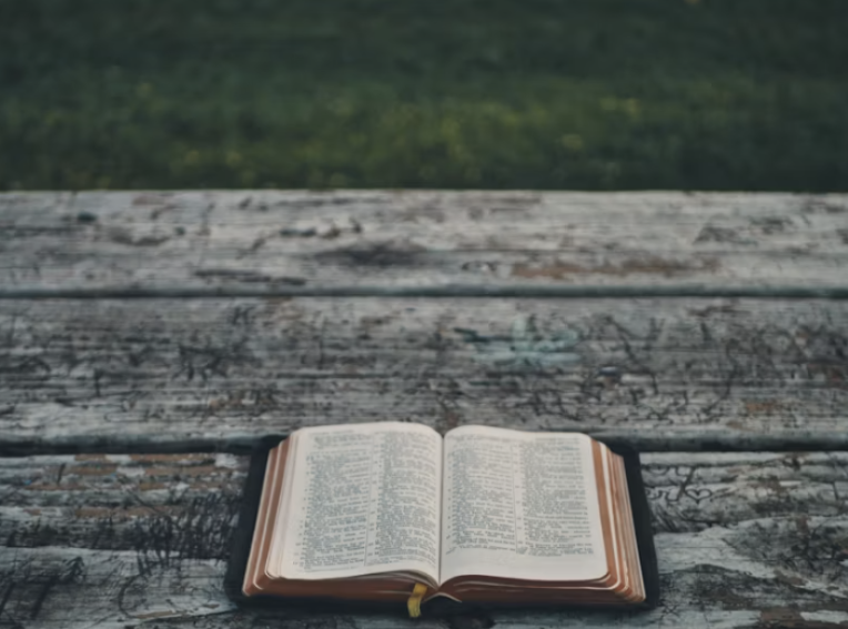 Evangelistic Bible: Sharing Jesus with Simple Tools