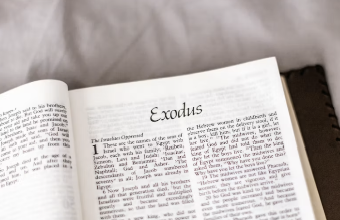 Understanding the Profound Meaning of the Book of Exodus