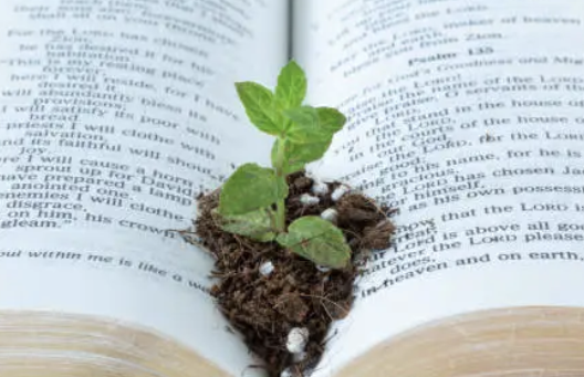 How to Manage Church Growth Without Burning Out