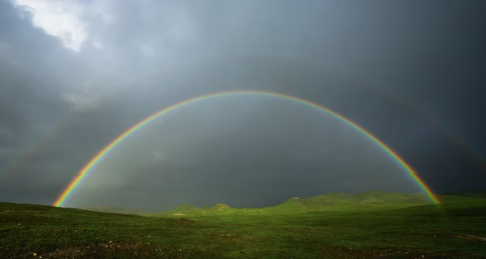 Bible Verses About Peace for Real Calm Today