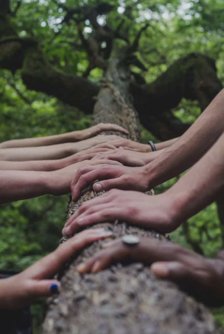 Bible Verses About Community for Real Connection