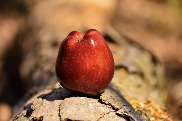 Bible Verses About Temptation: Real Help When You Struggle