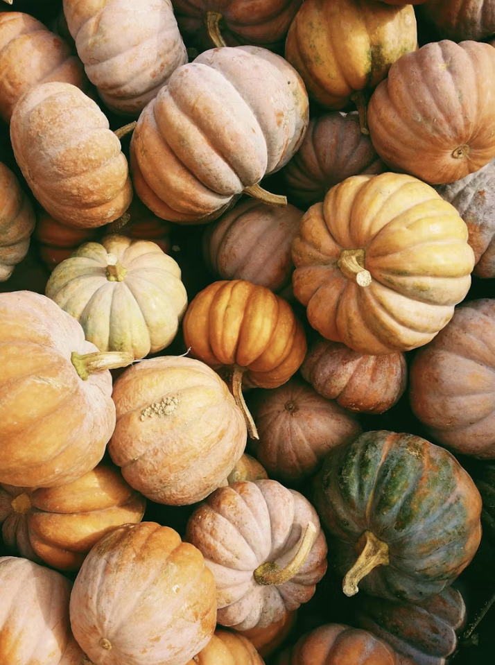 Bible Verses About Thanksgiving to Strengthen Your Faith